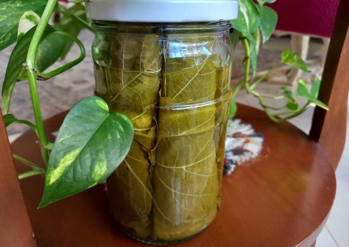 کنسرو برگ مو