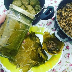 کنسرو برگ مو